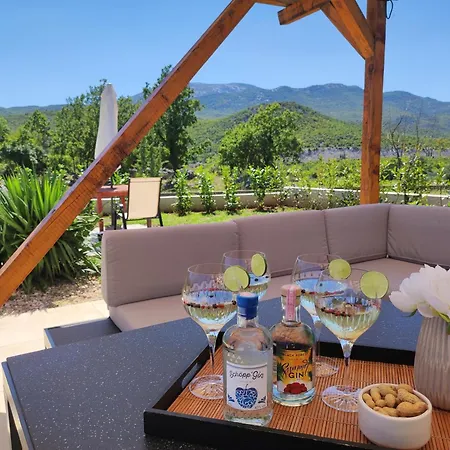 House Mila Villa Trnbusi
